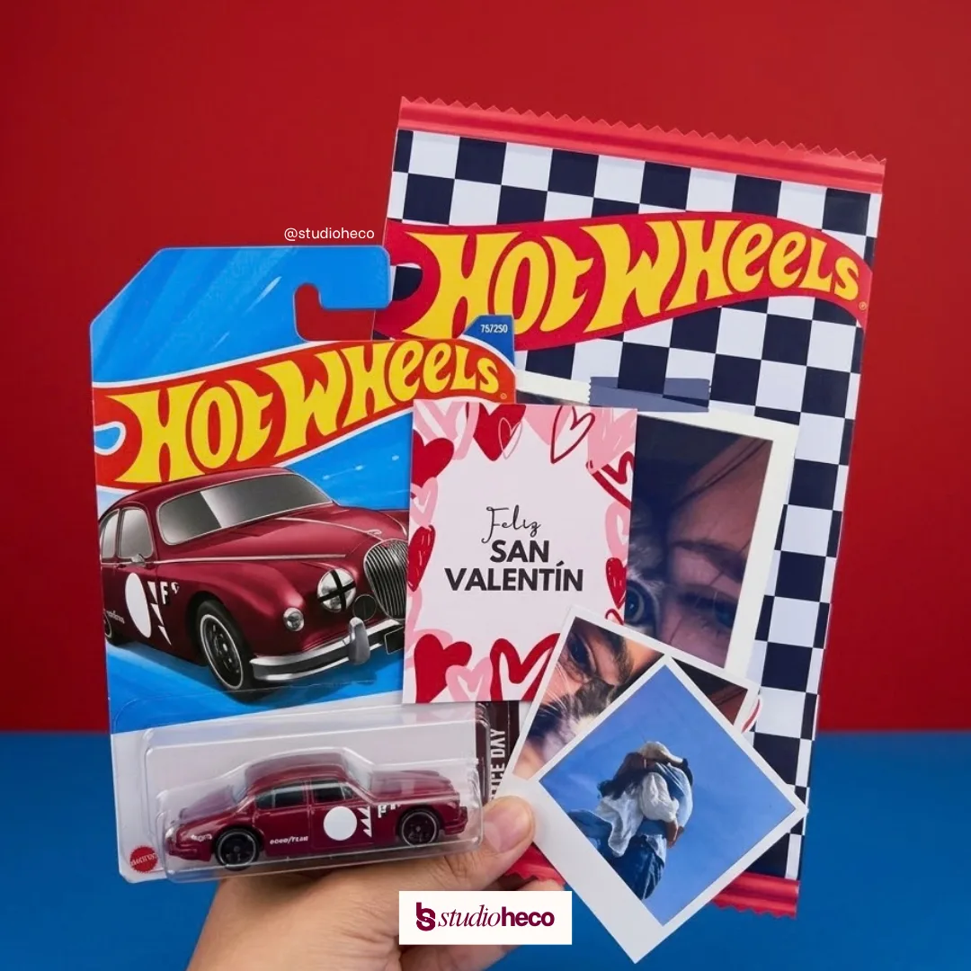 CARBAG CON CARRITO HOTWHEEL
